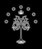 msg-1769-0-27948100-1338298533_thumb.jpe