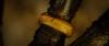post-1262-0-34081400-1355410311_thumb.jp