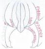 post-3945-0-97427100-1429864467_thumb.jp
