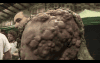post-1897-0-54683100-1384709002_thumb.pn