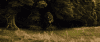 post-1897-0-20465800-1380636124_thumb.pn
