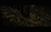 post-1897-0-80563400-1383681777_thumb.pn