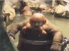 post-1897-0-93828500-1383428003_thumb.gi