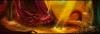 post-3964-0-82726200-1439816610_thumb.jp