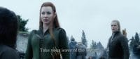The.Hobbit.The.Battle.of.the.Five.Armies.2014.EXTENDED.WEB-DL.x264-RARBG_5767.jpg
