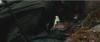 post-2771-0-68466200-1411214275_thumb.jp