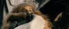 post-2837-0-56469600-1427097601_thumb.pn