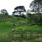 Hill-Wide-1-150x150.jpg