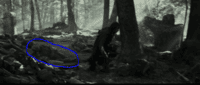 Capture34354.PNG