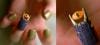 post-1805-0-01012800-1368265349_thumb.jp