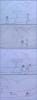 post-1262-0-28848400-1393252233_thumb.jp