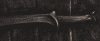 post-1532-0-96182900-1391635532_thumb.pn