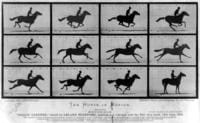 The_Horse_in_Motion.thumb.jpg.4adf6ed890866967fddbfc7ee6155593.jpg