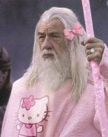Gandalf_kitty.jpg