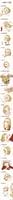 a9c6bcf24ca68c6c1d23fb5a3a0ac487.thumb.j