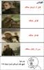 post-2690-0-12073400-1435762438_thumb.jp