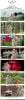 post-3575-0-47960100-1420795241_thumb.jp