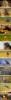 post-3575-0-74570900-1427862962_thumb.jp