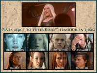 thranduil___elves_react_by_faerietopia-d7vpk9t.png