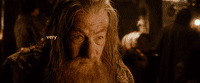 tumblr4_nu0jftAPxY1rrecxqo4_500.thumb.pn