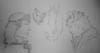 post-1628-0-96033200-1363676943_thumb.jp