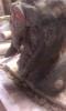 post-2784-0-94230800-1409396144_thumb.jp