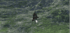 post-2837-0-57460400-1409127991_thumb.pn