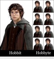 funny-picture-hobbit-and-hobbyte-555x601